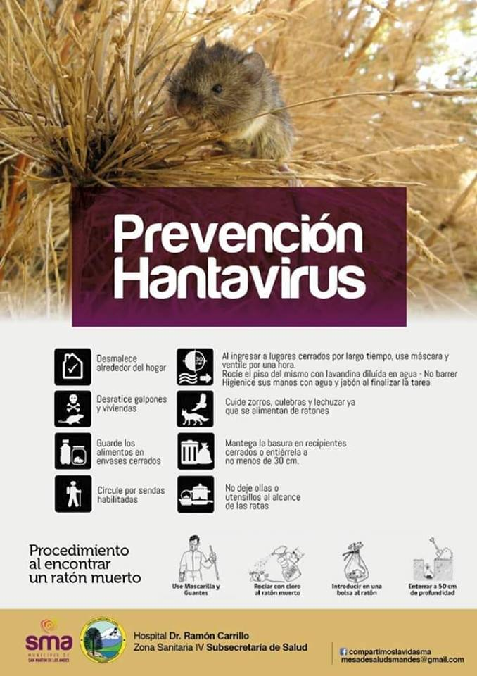 48907131_1853789931415300_71373926297711